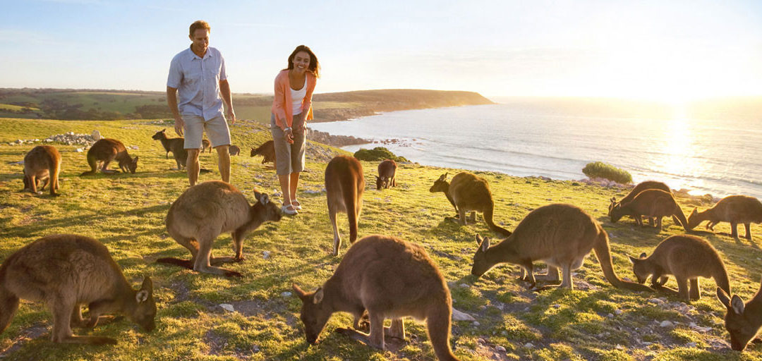 Les formalités pour partir Au Pair en Australie ✈️