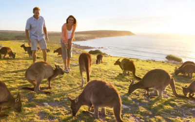 Les formalités pour partir Au Pair en Australie ✈️