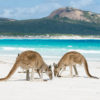 Séjour au pair en Australie
