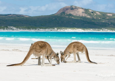 Séjour au pair en Australie