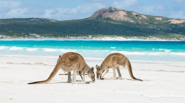 Séjour au pair en Australie