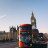 Réservation séjour Au Pair / Pet-sitter en Angleterre – Image 4