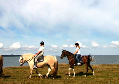 Au pair pour chevaux en Irlande